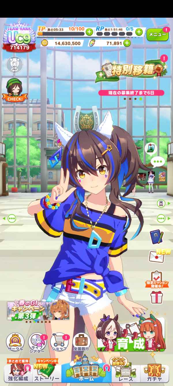ウマ娘 引退｜マツブシマーケット
