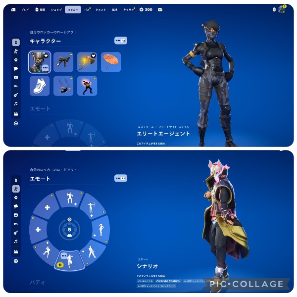 フォートナイト（Fortnite） ワイルドキャット確定コードのみ
