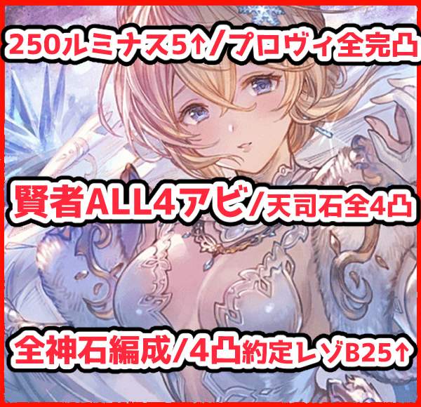 グラブル（グランブルーファンタジー） 250ルミナス5↑/全神石編成