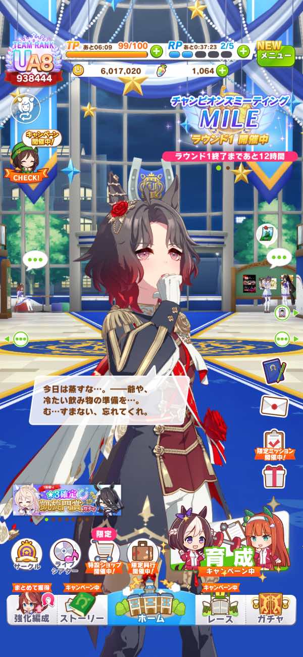 ウマ娘 ウマ娘引退アカウント｜マツブシマーケット