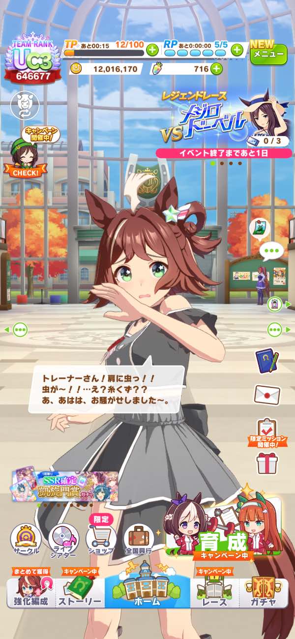 ウマ娘 引退｜マツブシマーケット
